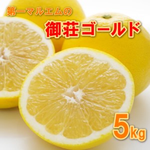 御荘ゴールド (河内晩柑) 5kg 減農薬 柑橘 フルーツ 愛媛みかん ポンカン 文旦 河内晩柑 温州みかん ブラッド オレンジ ネーブル せとか なつみ 蜜柑 みかん 檸檬 果物 果実 ジューシー 数量限定 さっぱり 第一マルエム 愛媛県 愛南町