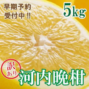 【先行予約 2026年6月ごろ発送開始】訳あり 河内晩柑 ばんかん 約 5kg 不揃い 大小ミックス 傷あり 柑橘 かんきつ フルーツ 果物 くだもの 厳選 愛媛 みかん 蜜柑 愛南 ご当地 ブランド 野菜 サラダ ピール ゼリー お菓子 デザート マルエム直販 (なくなり次第終了)