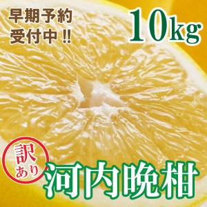 [先行予約 2026年6月ごろ発送開始]訳あり 河内晩柑 ばんかん 約 10kg 不揃い 大小ミックス 傷あり 柑橘 かんきつ フルーツ 果物 くだもの 厳選 愛媛 みかん 蜜柑 愛南 ご当地 ブランド 野菜 サラダ ピール ゼリー お菓子 デザート マルエム直販 (なくなり次第終了)