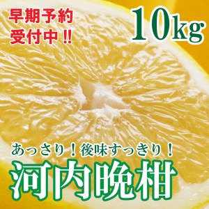 【先行予約 2026年6月ごろ発送開始】河内晩柑 ばんかん 約 10kg 家庭 柑橘 かんきつ フルーツ 果物 くだもの 厳選 愛媛 みかん 蜜柑 愛南 ご当地 ブランド 野菜 サラダ ピール ゼリー お菓子 デザート マルエム直販 (なくなり次第終了)