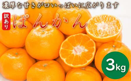 [愛南産ポンカン]冬の柑橘ポンカン 3kg