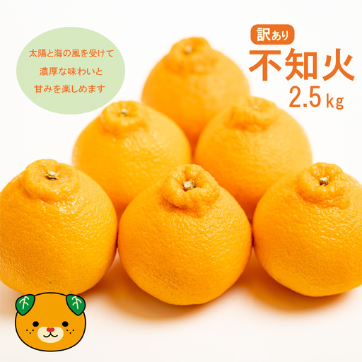 【先行予約】訳あり 減農薬 不知火 2.5kg 愛南フルーツ【2027年3月下旬～発送開始】