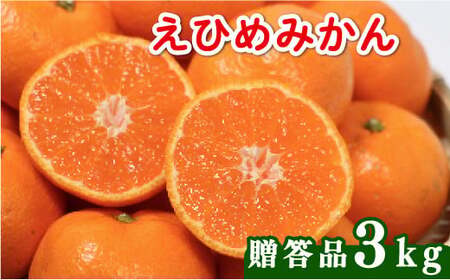 みかん 贈答用 3kg みかん