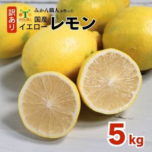 訳あり レモン 5kg 愛媛県 愛南町 みかん職人武田屋【レモン】