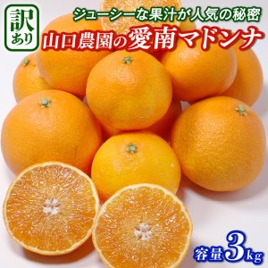 [紅まどんなと同品種][訳あり]愛南まどんな3kg 山口農園