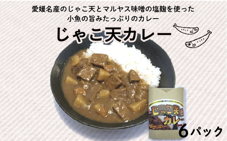 じゃこ天 カレー 6パック (1パック 200g) マルヤス味噌