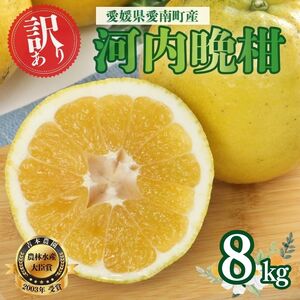 【訳あり】 河内晩柑 8kg(傷み保証300g) 木取り完熟 吉本農園 柑橘 みかん 愛南ゴールド 蜜柑 グレープフルーツ ゼリー ジュース アイス 果物 フルーツ サイズミックス 規格外 愛媛県 愛南町