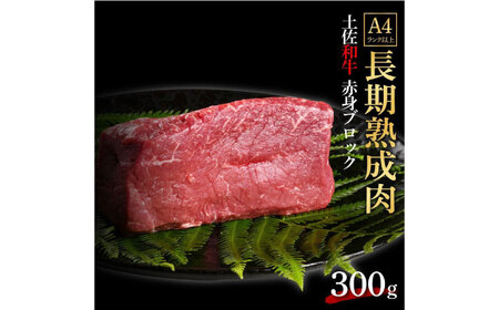 エイジング工法　熟成肉　土佐和牛　特選赤身　ブロック　約300ｇ　冷凍