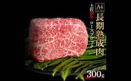 エイジング工法　熟成肉　土佐和牛　特選ロース　ブロック　約300g　冷凍