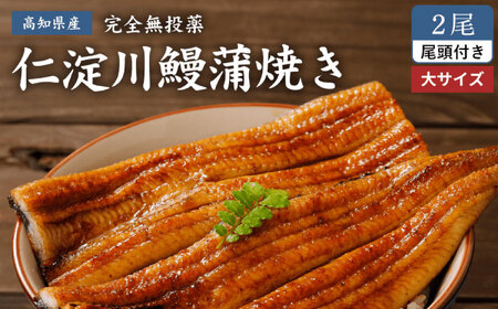 【最速発送】鰻 完全無投薬鰻 仁淀川鰻蒲焼き 約200g×2尾 / 鰻 鰻蒲焼 鰻蒲焼き  [ATBE008]　スピード 最短 最速 発送