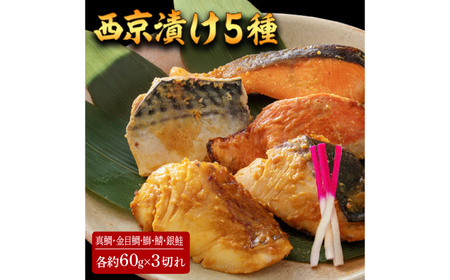 Ђ 515 (^ ڑ  I ) 60g×e3 ymt[YЁz [ATBX062]