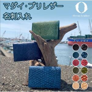 [Ocean Blue]Ocean Leather 名刺入れ[マダイ]M