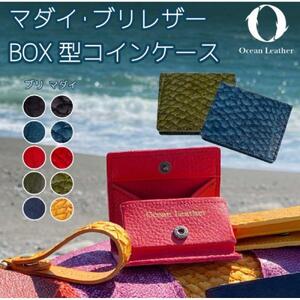 [Ivory Black]Ocean Leather BOXコインケース[ブリ]