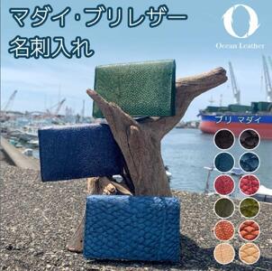 [Chestnut Brown]Ocean Leather 名刺入れ[マダイ]L