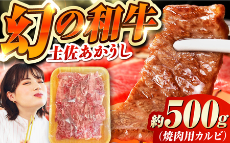 [最速発送]土佐あかうし 焼き肉用カルビ 約500g /和牛 国産和牛 高知県産 高知市 焼肉[株式会社Dorago][ATAM041] スピード 最短 最速 発送