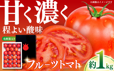 Lisa リサフルーツトマト 約1kg [2026年1月上旬〜2026年5月末頃発送] [株式会社 堀][ATDA008]