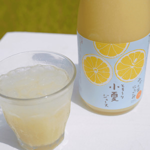 [先行予約]みかん家にしごみ果汁100%ジュース土佐柑橘セレクト2本セット(土佐文旦・小夏各1本)[2026年5月1日〜2026年12月31日発送][株式会社にしごみ] [ATEA007]