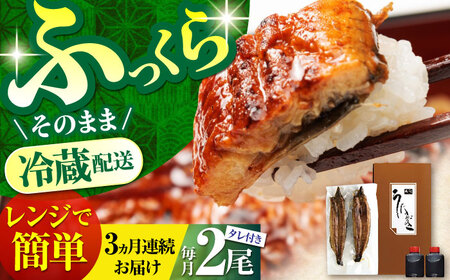 [3回定期便]朝焼きうなぎ蒲焼 2尾 / うなぎ 国産うなぎ うなぎ うなぎ蒲焼 うなぎ蒲焼き 高知県産うなぎ[ATAF086]