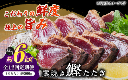 【12回定期便】明神水産 藁焼き鰹 (カツオ) たたき 中2節 総計約6kg / かつお カツオ かつおたたき カツオたたき かつおのたたき カツオのたたき[ATAF136]