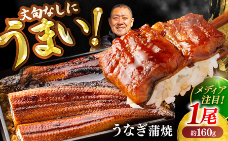 高知県産 うなぎ 長蒲焼1尾 約160g×1 (1〜2人前)/ 鰻 ウナギ 土用丑の日 高知産 うなぎ [土佐黒潮水産][ATCQ011]