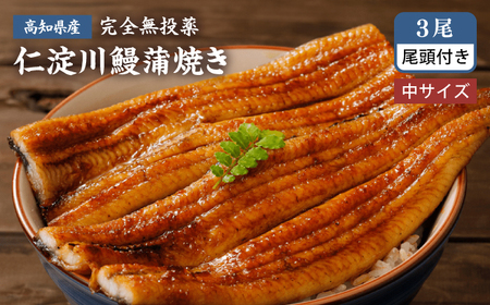 【最速発送】鰻 完全無投薬鰻 仁淀川鰻蒲焼き  中 (約150g×3尾 )  / 鰻 鰻蒲焼 鰻蒲焼き [ATBE018]　スピード 最短 最速 発送