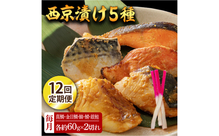 y12ցzЂ 510 (^ ڑ  I ) 60g×e2 ymt[YЁz[ATBX115]
