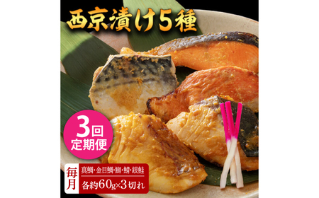 y3ցzЂ 515 (^ ڑ  I ) 60g×e3 ymt[YЁz[ATBX116]