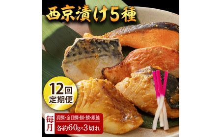 y12ցzЂ 515 (^ ڑ  I ) 60g×e3 ymt[YЁz[ATBX118]