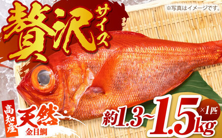 mY VR ڑ 1.3kg?1.5kg q2025N2?r /E낱ς hg ϕt  ^C L_C yЁ@lz[ATAF004]