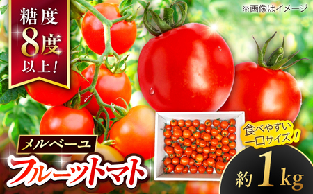 [先行予約]高知県高知市 フルーツトマト メルベーユ 約1kg [2025年12月中旬頃〜発送] / 高糖度 トマト とまと フルーツトマト 野菜 [株式会社 四国健商][ATAF071]