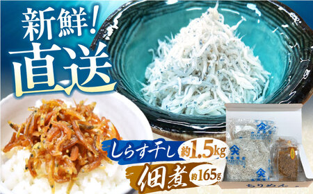 しらす干し(約1.5kg)と佃煮(約165g)セット&nbsp;/森国商店&nbsp;浜で瞬時に釜出し&nbsp;高知のしらす[グレイジア株式会社][ATAC487]