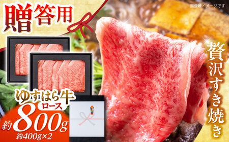 m 䂷͂狍[X ₫ 800g(400g×2pbN) / m    [X ₫  Mtg ґ yē\Yz[ATDO009]