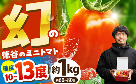 ys\zJ͂܂g}g̃~jg}g 1kg ~bNXq2026N3?r /~j v` g}g x mg}g yDoragoz[ATAM051]