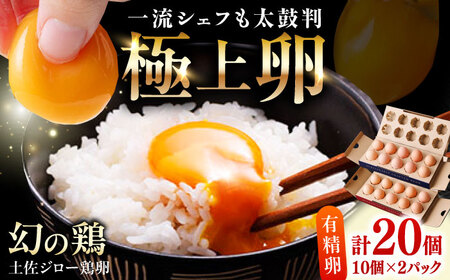 土佐ジロー鶏卵 20個 (10個×2パック)/ 高知 土佐 土佐ジロー 卵 たまご 玉子 鶏卵 卵焼き たまご焼き 玉子焼き 目玉焼き 生卵 卵かけご飯 TKG ギフト 贈り物 [とさやま養鶏場][ATHB001]