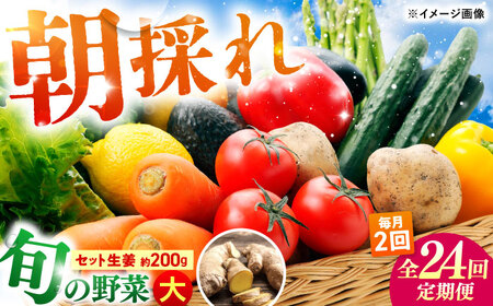 【24回定期便・月2回配送】 土佐の太陽をいっぱいに浴びた旬の野菜10〜13品目と生姜約200gのセット / 高知 土佐 旬 野菜 生姜 詰め合わせ セット 仕送り 【土佐野菜】[ATBA017]