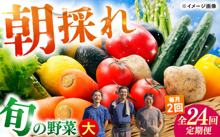 【24回定期便・月2回配送】 土佐の太陽をいっぱいに浴びた旬の野菜セット「大」10〜13品目 / 高知 土佐 旬 野菜 詰め合わせ セット 仕送り 【土佐野菜】[ATBA018]
