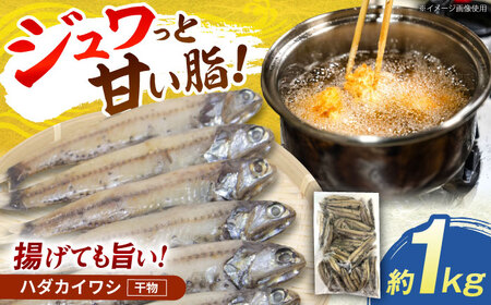 高知県産 ハダカイワシ干物 約1kg / 高知 ハダカイワシ イワシ いわし 魚 干物 冷凍 【ワクトフーズ】[ATHF001]