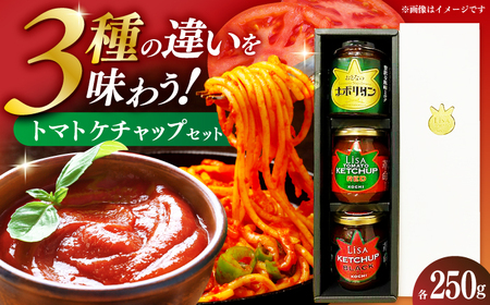 ケチャップセット3種 [リサトマトケチャップ・リサケチャップブラック・大人のナポリタン]各250g / ケチャップ セット リサトマト トマト ナポリタン 調味料 とまと 高知[株式会社 堀][ATDA009]