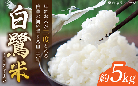 農薬節減！ R7年度産 特別栽培米 白鷺米 コシヒカリ 約5kg ＜2025年9月中旬?発送＞ / 高知 米 お米 精米　【津ノ宮農園】[ATBV019]