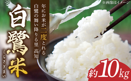 農薬節減！ R7年度産 特別栽培米 白鷺米 コシヒカリ 約10kg ＜2025年9月中旬?発送＞ / 高知 米 お米 精米　【津ノ宮農園】[ATBV020]