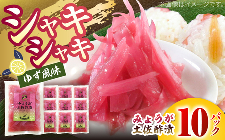 みょうが土佐酢漬け 約70g×10パック / ミョウガ 薬味 漬物 [JapanGinger株式会社] [ATFD002]