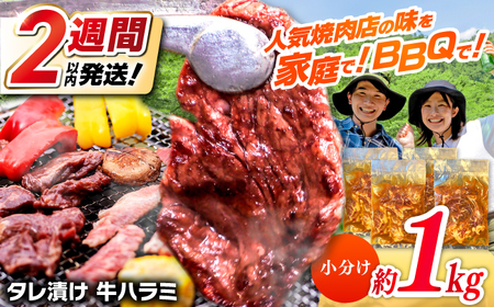 タレ漬け 牛ハラミ 約250g×4パック 計約1kg[焼肉寛十郎]小分け 個包装 味付け タレ たれ 高知県 お肉 牛肉 贅沢 焼き肉 BBQ バーベキュー 訳あり わけあり ワケアリ はらみ[ATDO014]