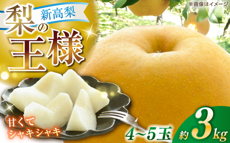 [先行予約] 新高梨 約3kg(4~5玉)[2025年9月20日~10月末発送] / 高知 新高梨 [川渕果樹園][ATHX002]