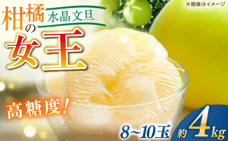 ys\z U 4kgi8~10ʁj͔|Ԓ_sgp q2025N1220~1r / m U ʕ k t[c fU[g y쟺ʎz[ATHX004]