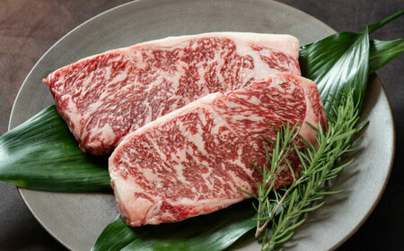 y T[C Xe[L 400gi200g×2j/ p  y ya a    Hi Ⓚ m ymHZ^[Ёz[ATFC028]