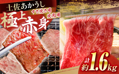 y@Ăē e800g v1.6kg / 炩 wV[ ܖÏky(L)RdHz[ATAP185]
