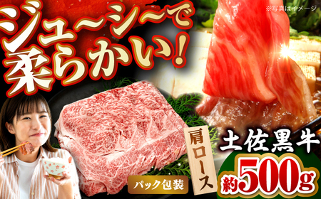 y@[XiXCXj500gymHZ^[Ёz[ATFC013]