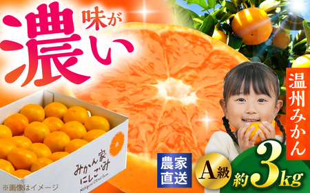 [先行予約][サイズおまかせ]高知県産温州みかんA級品 約3kg [2026年11月上旬〜2026年12月下旬頃発送]/ みかん 柑橘 オレンジ 高知県 温州 [株式会社にしごみ][ATEA010]