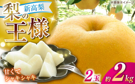 [先行予約] 新高梨 秀 約2kg(2玉) [2026年9月20日〜2026年10月末発送] [川渕果樹園][ATHX005]