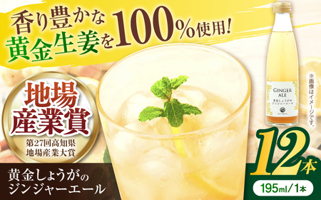 黄金しょうがのジンジャーエール12本/ 土佐生姜 スパークリング ジンジャーエール 爽やか【はるのTERRACE】[ATAV002]